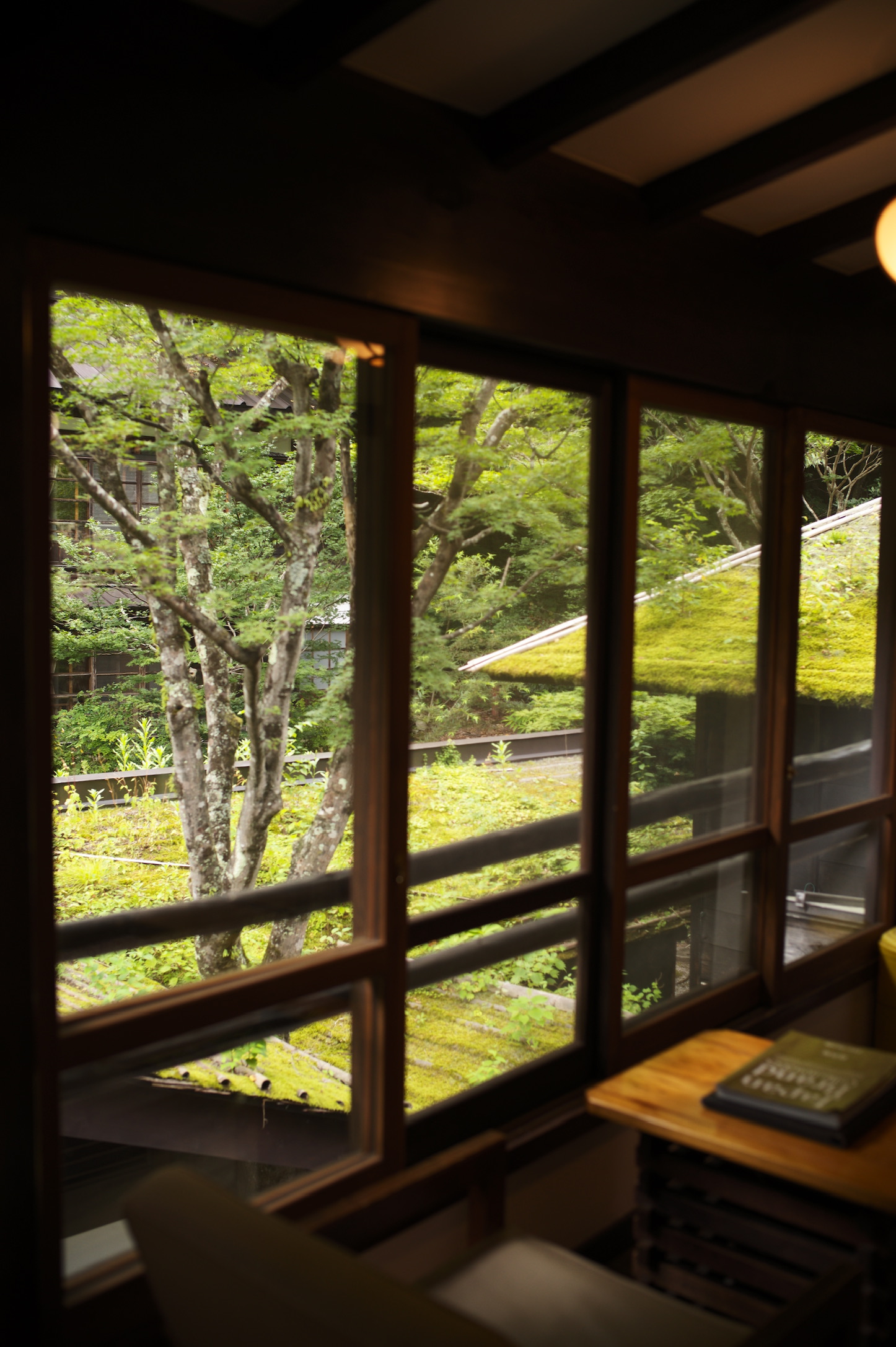 The moss garden seen through the wooden windows of Hoshi Onsen Chojukan